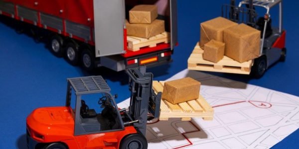 DOMESTIC CARGO DOMESTIC CARGO